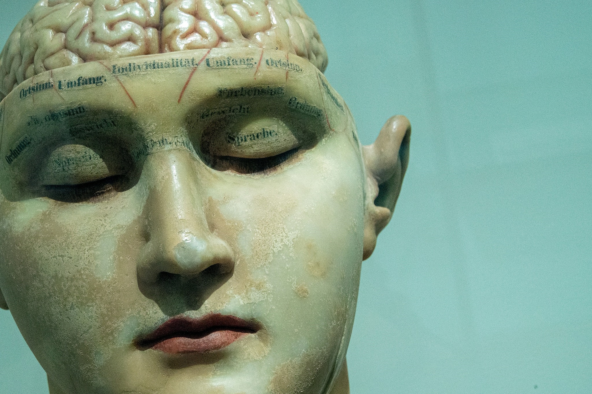  10-10-2025: Forskningssymposium i neurorehabilitering 